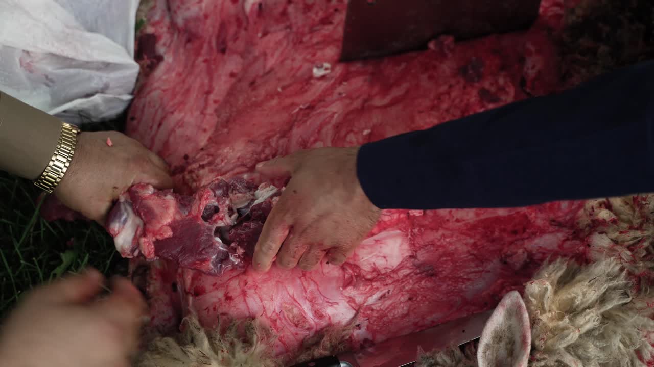 Middle eastern men preparing sheep meat to eat in celebration of Muslim, religious holiday Ramadan, Eid al-Adha or Eid al-Fitr in cinematic slow motion