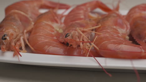 raw argentinian red shrimps fresh sea food on dish plate