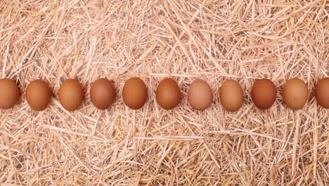 huevos frescos pasando en una línea en el tema de la paja. detener el movimiento