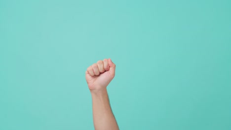 close up shot of human hand raising, stretch out fist knocking for social activism. the man showing hand gesture for language sign in isolate blue screen background with copy space for advertisement.