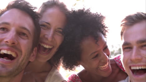 four friends relaxing together in the countryside