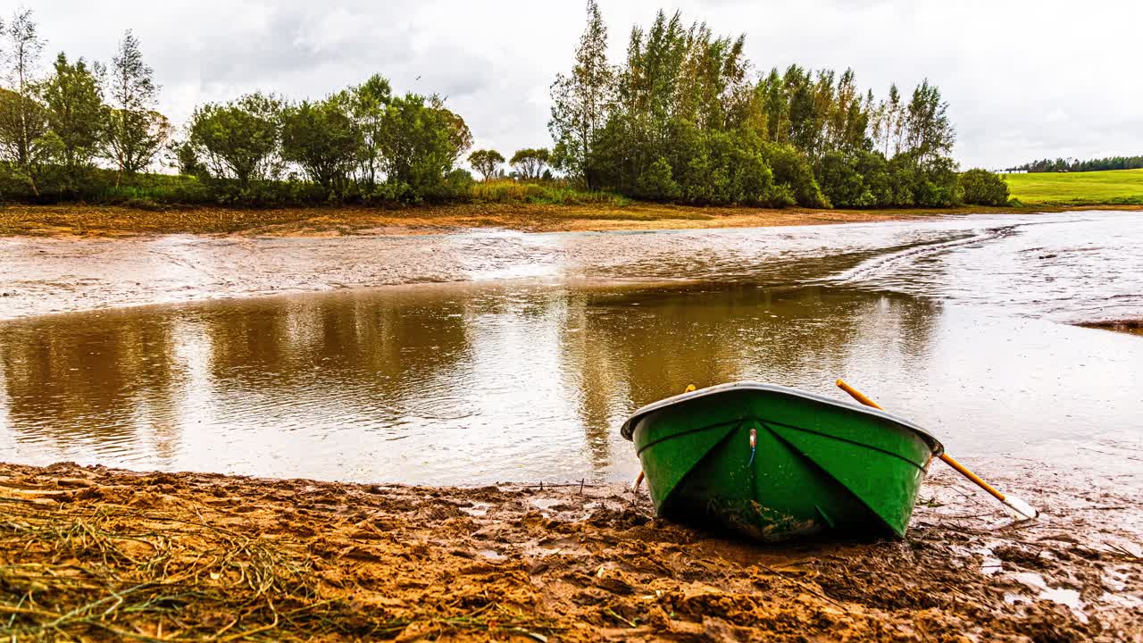 Seafood gatherers collecting with buckets in an estuary. Time lapse