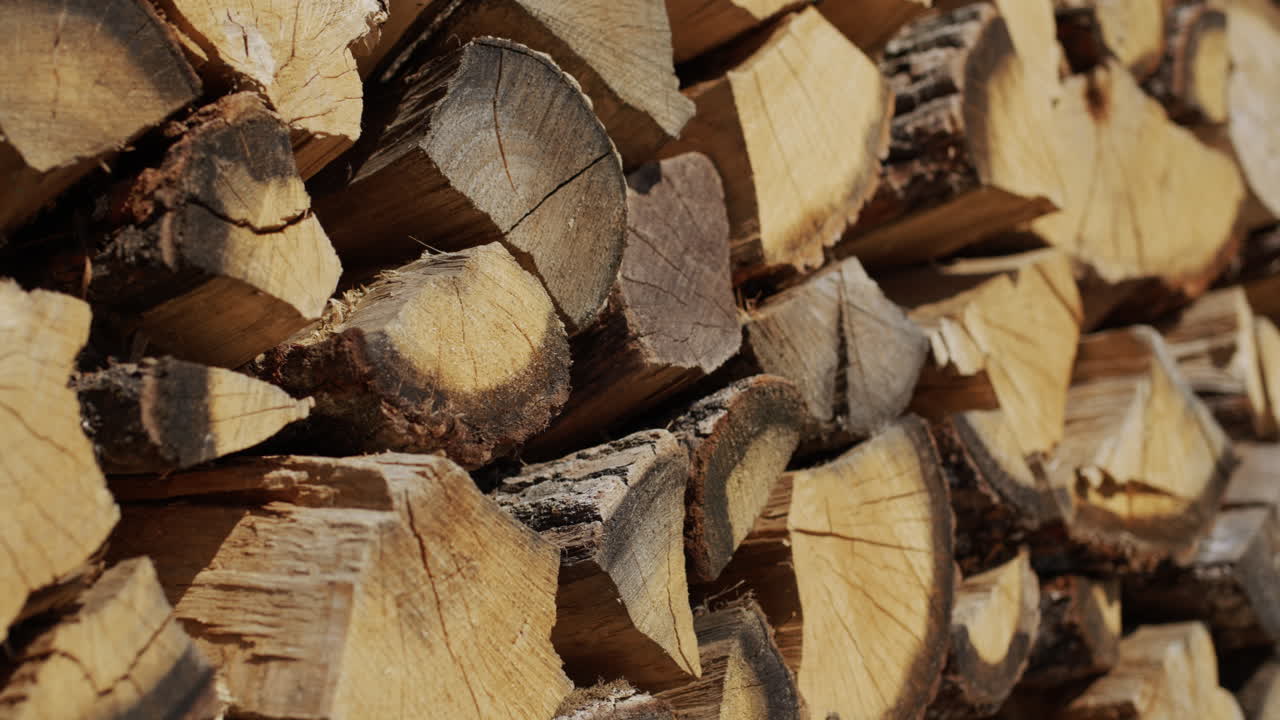 참나무 장작은 장작 더미 1에서 건조됩니다.