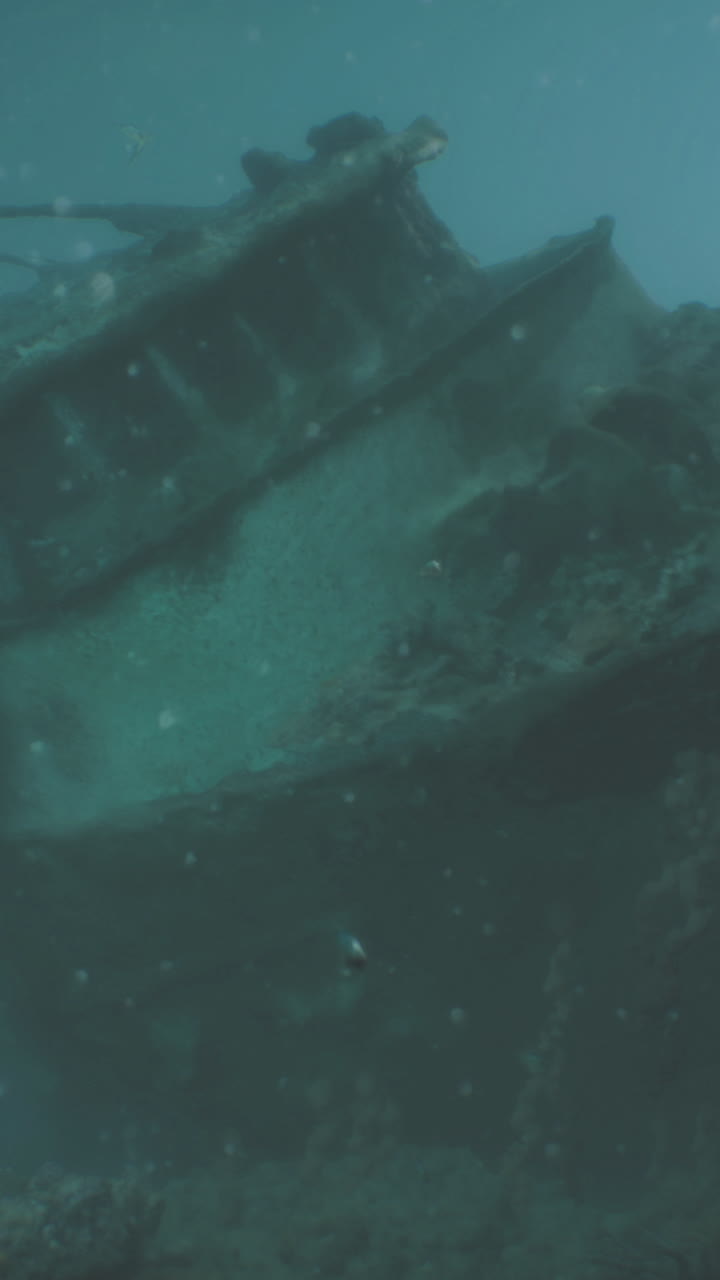 Sunken shipwreck explored in deep ocean waters near coastal area