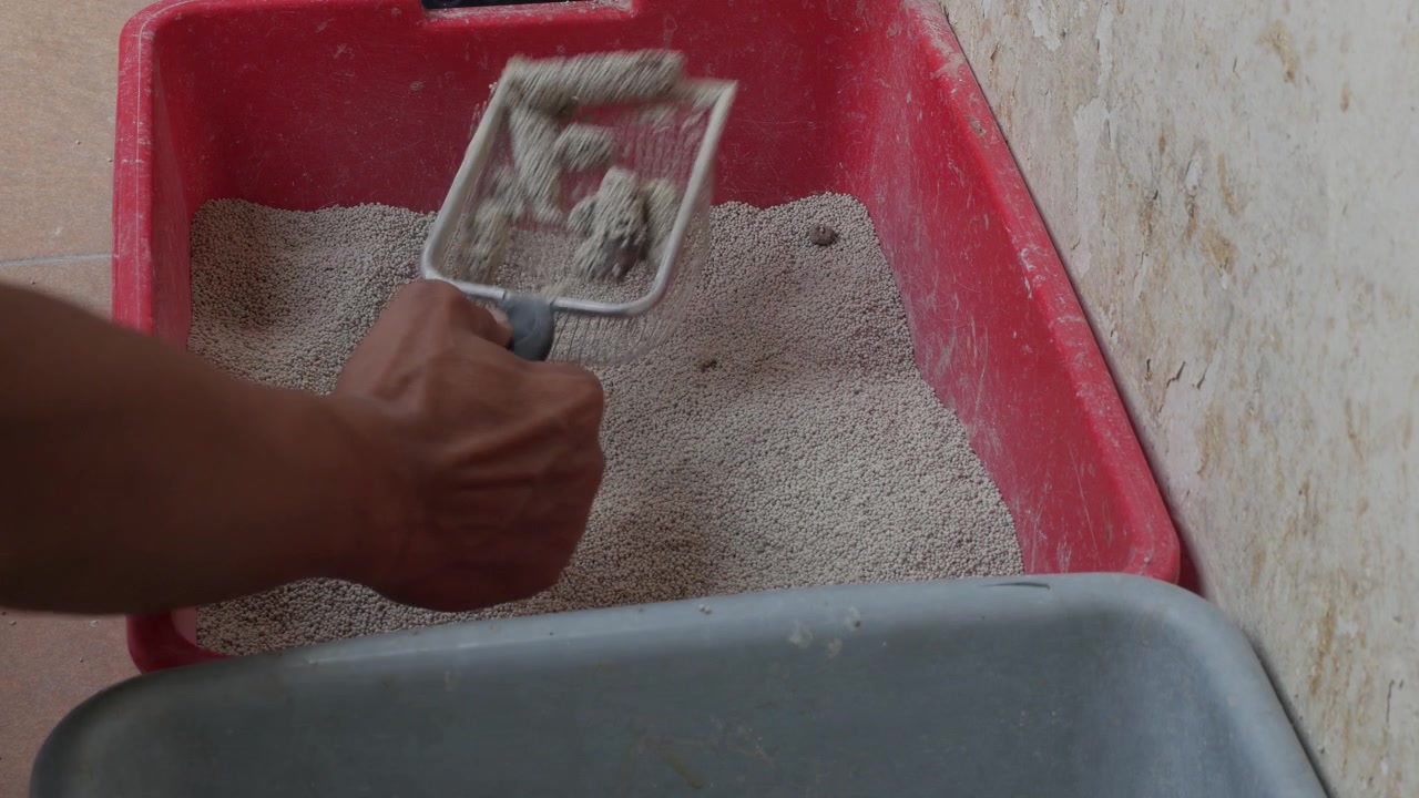 Scooping Cat Litter and Cleaning Cat Waste from a Litter Box