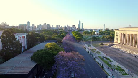 Aerial-view-dolly-in-of-leafy-trees-in-Recoleta-neighborhood-with-sunset-rays-on-the-side,-UBA-law-school,-city-on-the-horizon