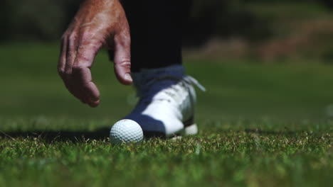 placing golf ball on tee carefully for swing