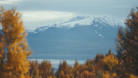 snow-covered mountains tower above the fjord