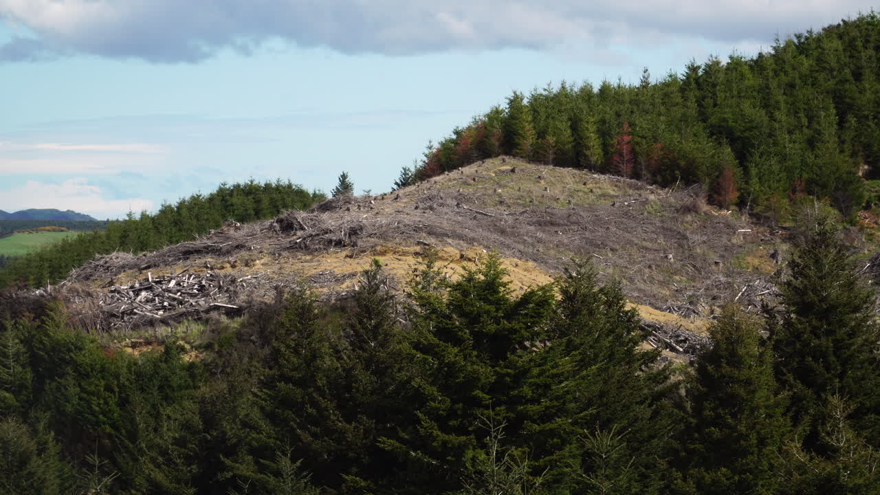 una cima de una colina estéril marcada después de la tala de árboles industriales en el borde del bosque