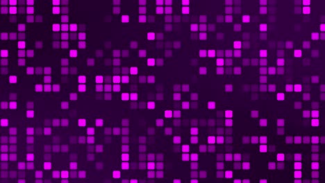 Animated-purple-Digital-Square-looped-technology-Background-appears-and-disappears,-looped