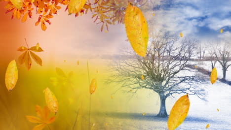 animation of leaves falling over autumn and winter scenery