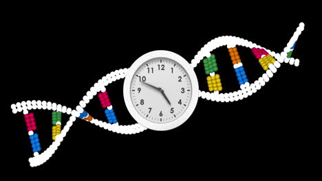 animación de un reloj que se mueve sobre la cadena de adn sobre un fondo negro