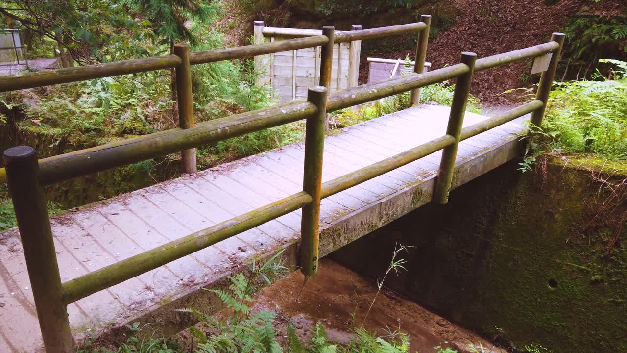 A Japanese wooden bridge crosses a moss green mountain river, Zen landscape