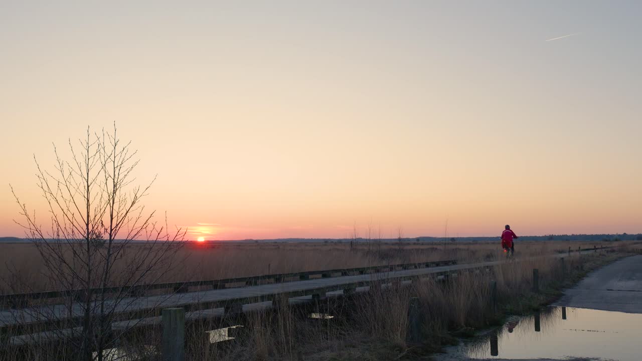 나무 다리를 가로질러 해가 지는 것