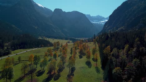 Vibrant-maple-trees-with-colorful-red-and-yellow-fall-leaves-in-sunny-autumn-in-the-alps-mountains-in-Tyrol,-Austria-at-scenic-Ahornboden-forest-at-Rissach-Engtal-tourist-travel-spot