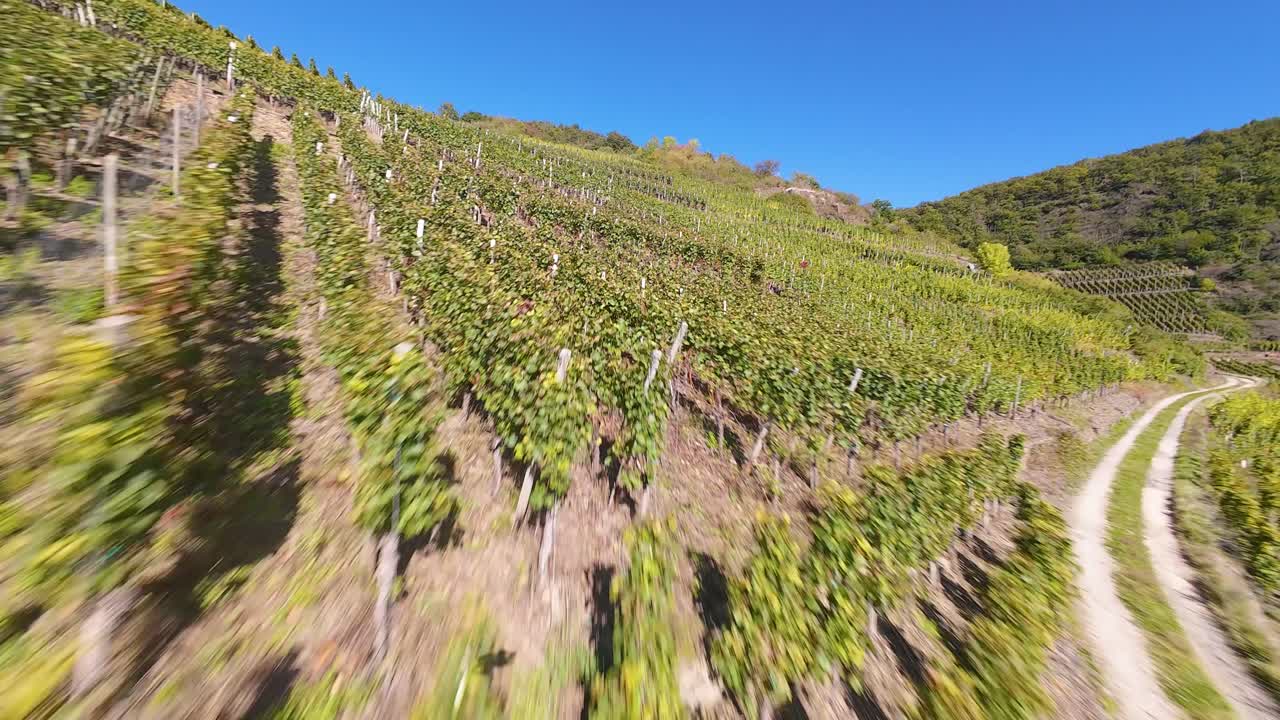 Ahr valley vineyard, Germany, FPV aerial drone view.