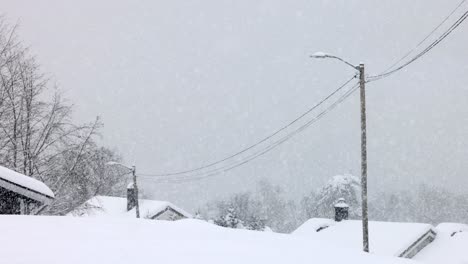 heavy snowfall filmed in 120 fps 4k in norway