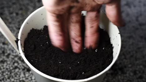 la mano masculina blanca está poniendo tierra para macetas en una olla blanca en un movimiento circular