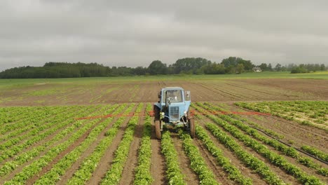 toma aérea siguiendo desde el frente un tractor rociando un campo de fresas contra enfermedades