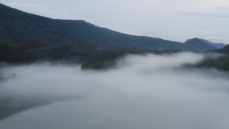 flight over a foggy river. the mist is hanging low over the landscape creating a dark mystical mood over the whole scene.