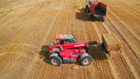 hay harvesting in a field