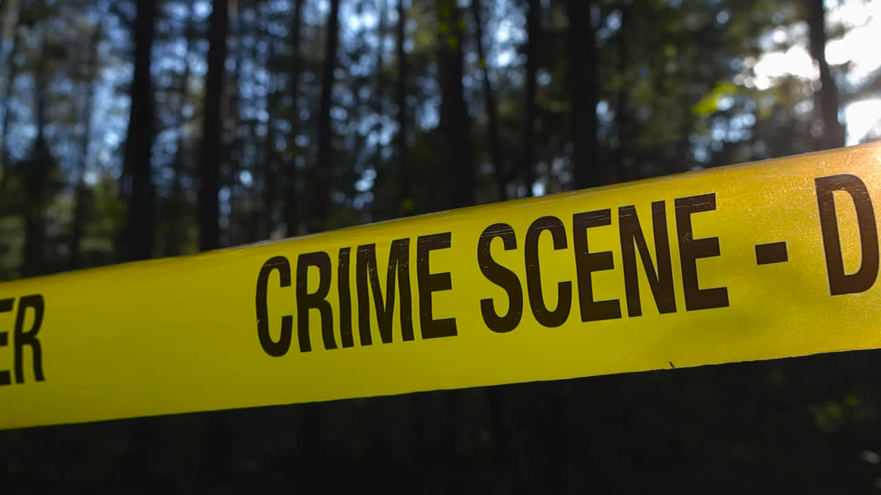 Close up view of a police yellow colored crime scene forensic investigation tape in front of a dark eerie day time forest with sunshine backlighting the ribbon. Blue sky and tall bokeh blurry trees
