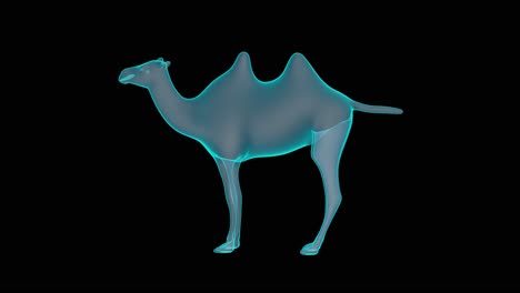 un hermoso renderizado de plataforma giratoria holográfica de camello en 3d
