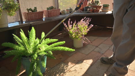 Unterkörper-Des-Männchens-Beim-Gießen-Von-Pflanzen-Auf-Geschlossener-Terrasse-Mit-Sprühdüse