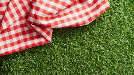 close up of red and white checkered blanket on grass with copy space