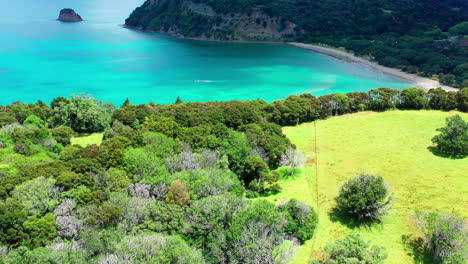 the mouth of puhoi river and the coastal forest in wenderholm regional park in auckland, new zealand