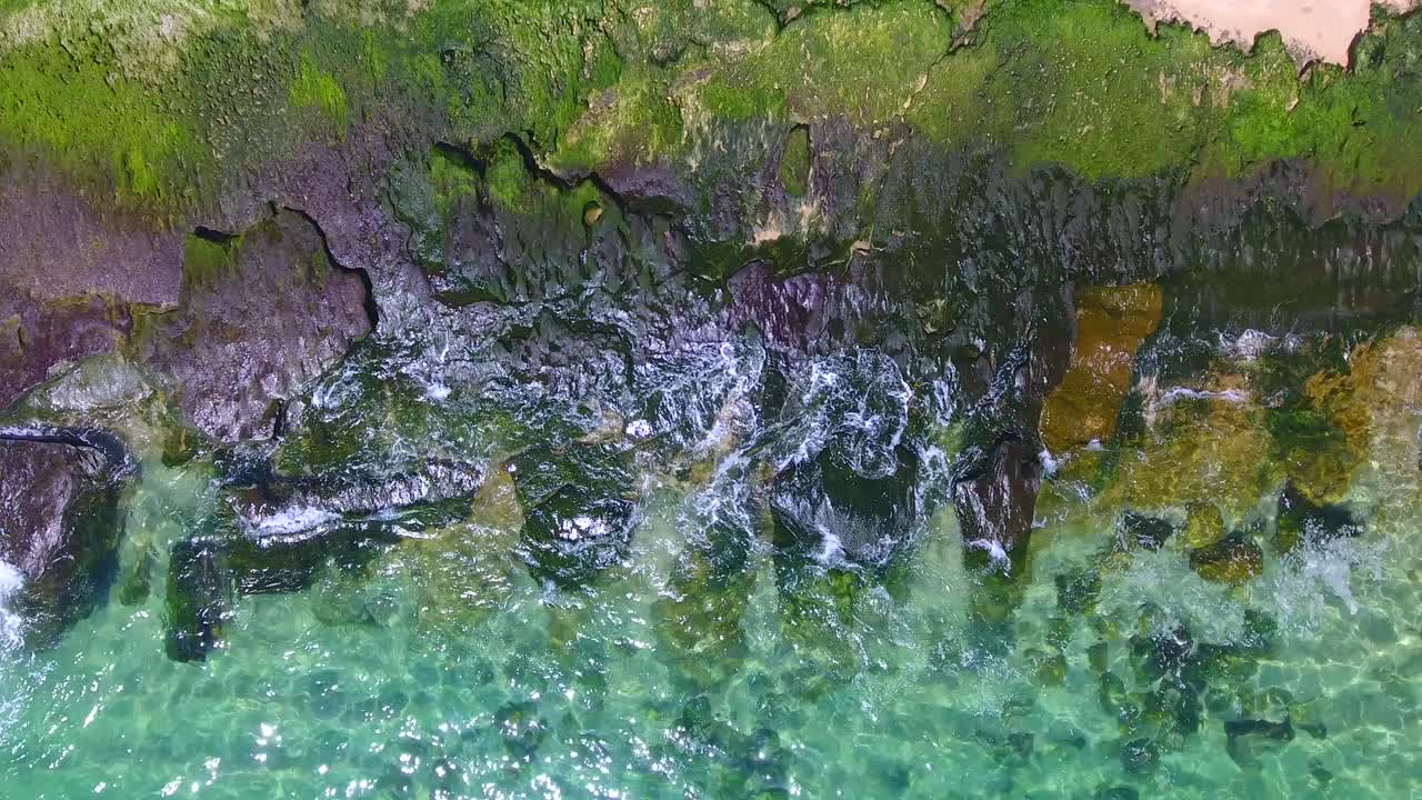 Ripresa aerea di onde che si infrangono sul bordo di una spiaggia rocciosa con alghe verdi e acqua color smeraldo