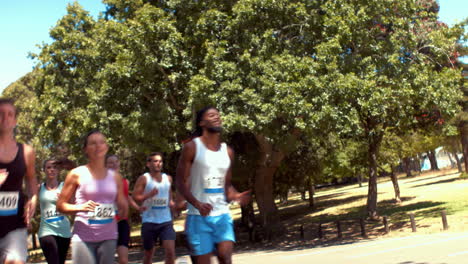 in high quality format fit people running race in park
