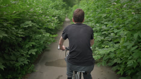 back view of someone cycling along a scenic paved path, surrounded by lush greenery with white road markings visible, light reflects off the cyclist as he pedals forward