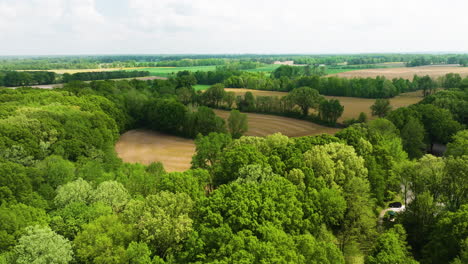 Big-Cypress-Tree-State-Park-In-Weakley-County,-Tennessee,-USA---Aerial-Drone-Shot