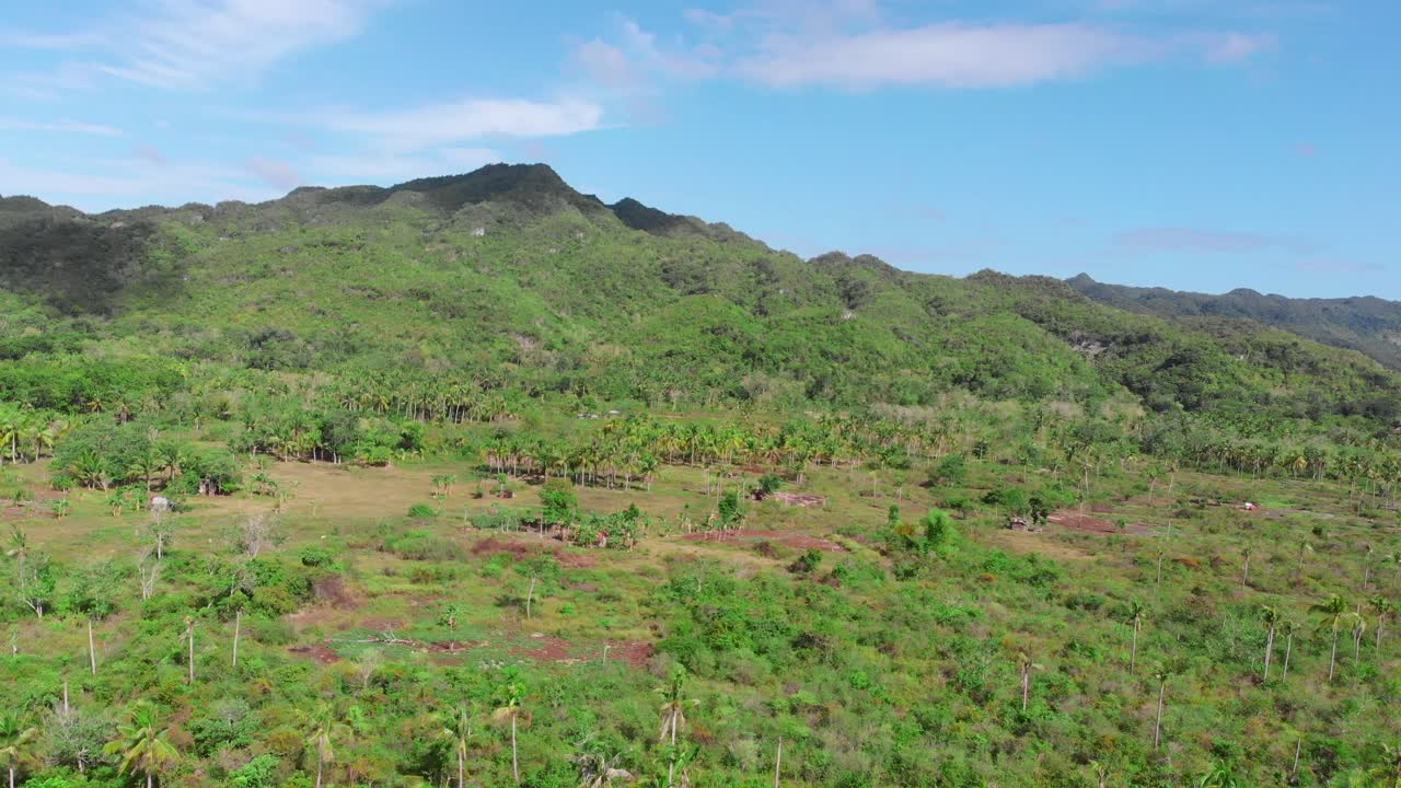 drone volando sobre una isla tropical cubierta de palmeras, junto al mar
