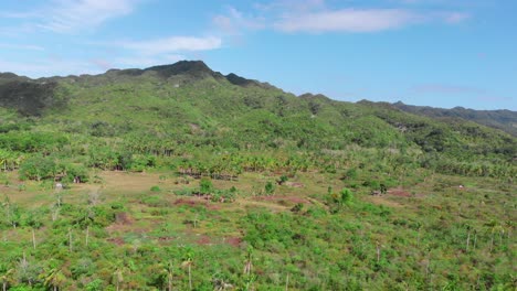 drone flying above tropical island covered in palm trees, by the sea