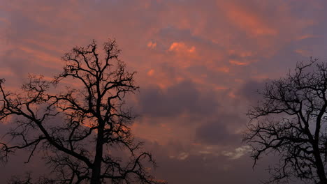 this is a video of a colorful sunset over lake lewisville in texas