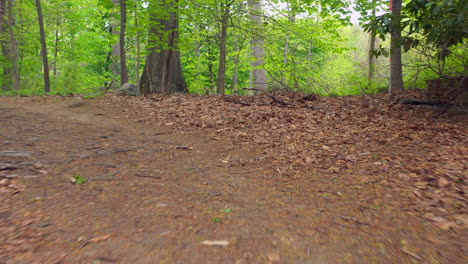 A-low-angle-drone-shot-along-a-nature-trail-on-a-sunny-day