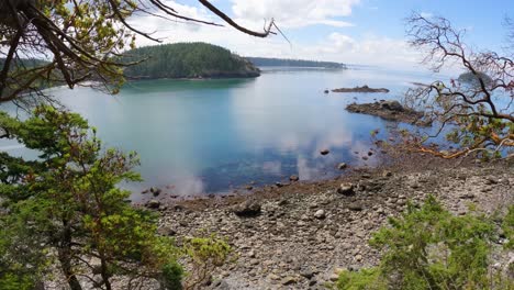 view of fidalgo island's bowman bay at low tide