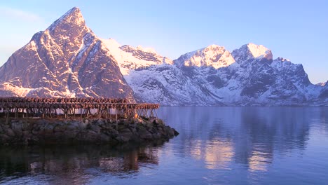 el pescado se cuelga para secarse en estantes de madera en las islas lofoten noruega 4