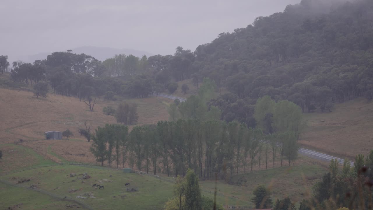 비 가 내리고 구름 이 많은 날 에 뉴 사우스 웨일스 지방 의 시골 도로