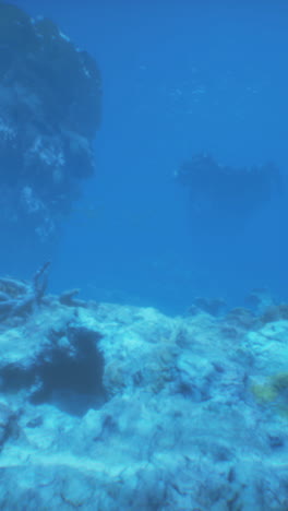 escena de arrecife de coral submarino