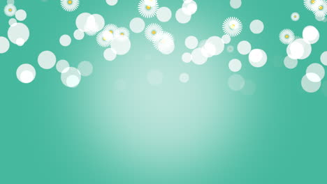 floating white dots and flowers create movement on blue background