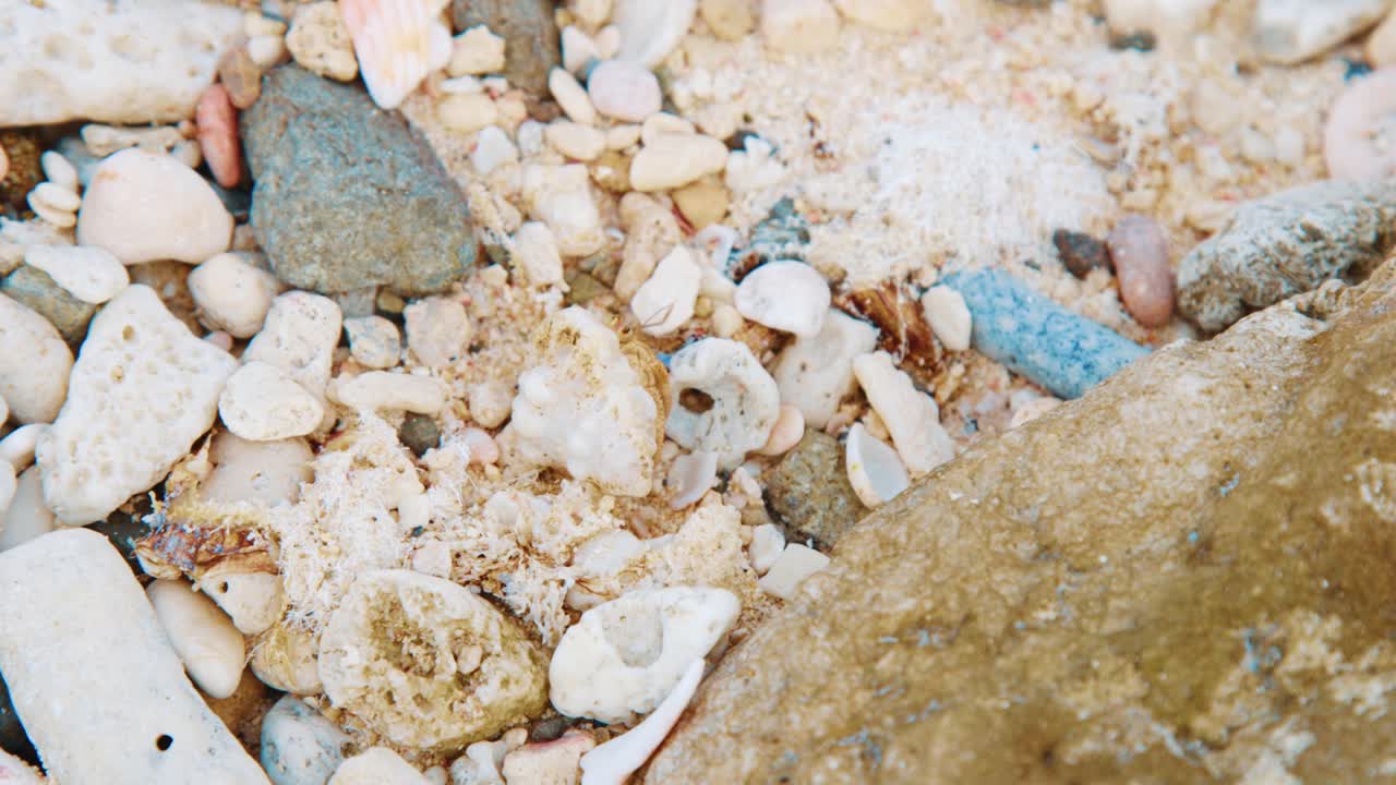 Hermit crab flipping itself over and walking away on rocky beach, CLOSE UP