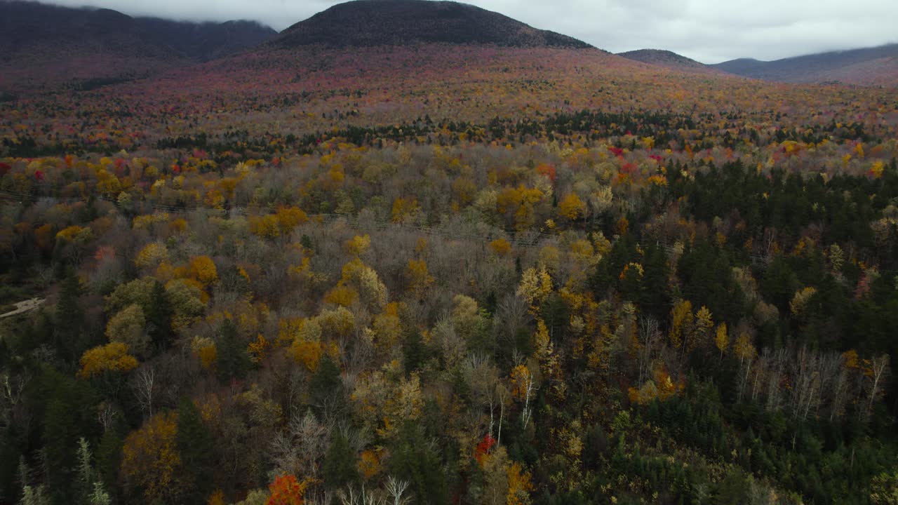 avión no tripulado volando bajo a través de árboles coloridos en el condado de coos, new hampshire