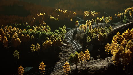 scenic winding road through a fall foliage forest