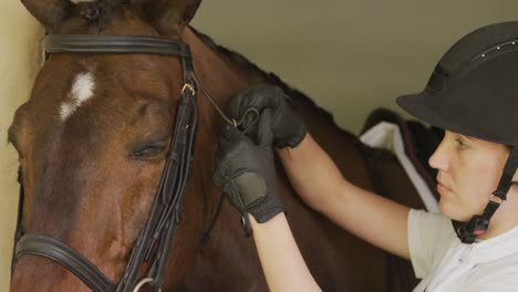 caucasian woman putting the bridle of the dressage horse