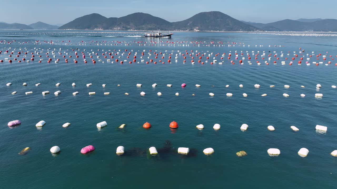 보트가 남한 게이온산 지방에 있는 게오제에 있는 오스트리 농장을 지나간다.