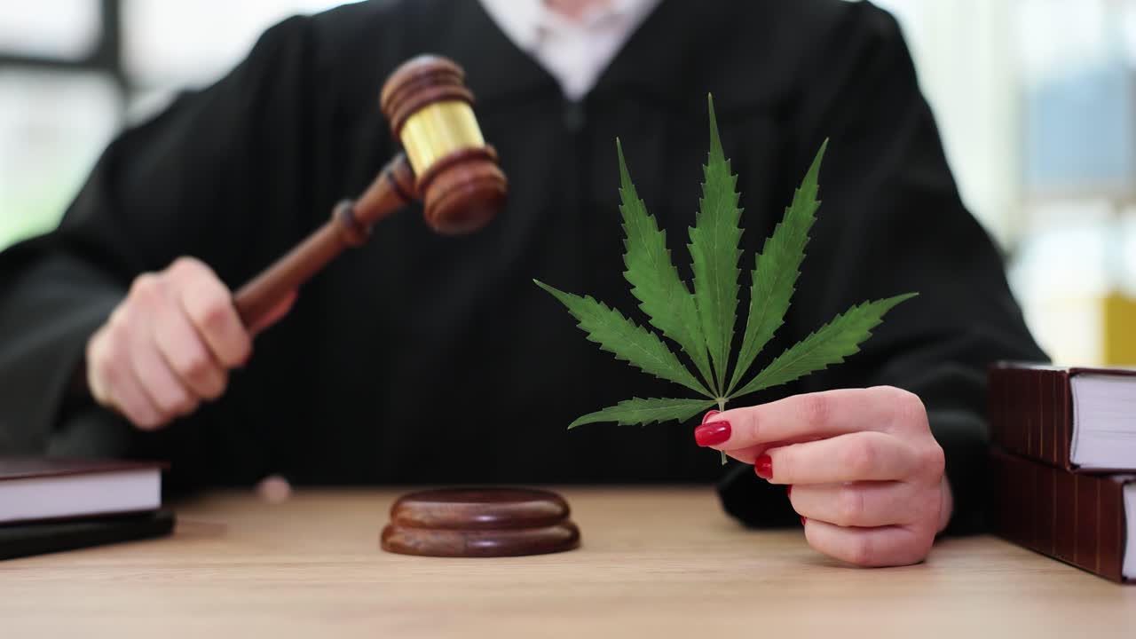 Cannabis legalization laws