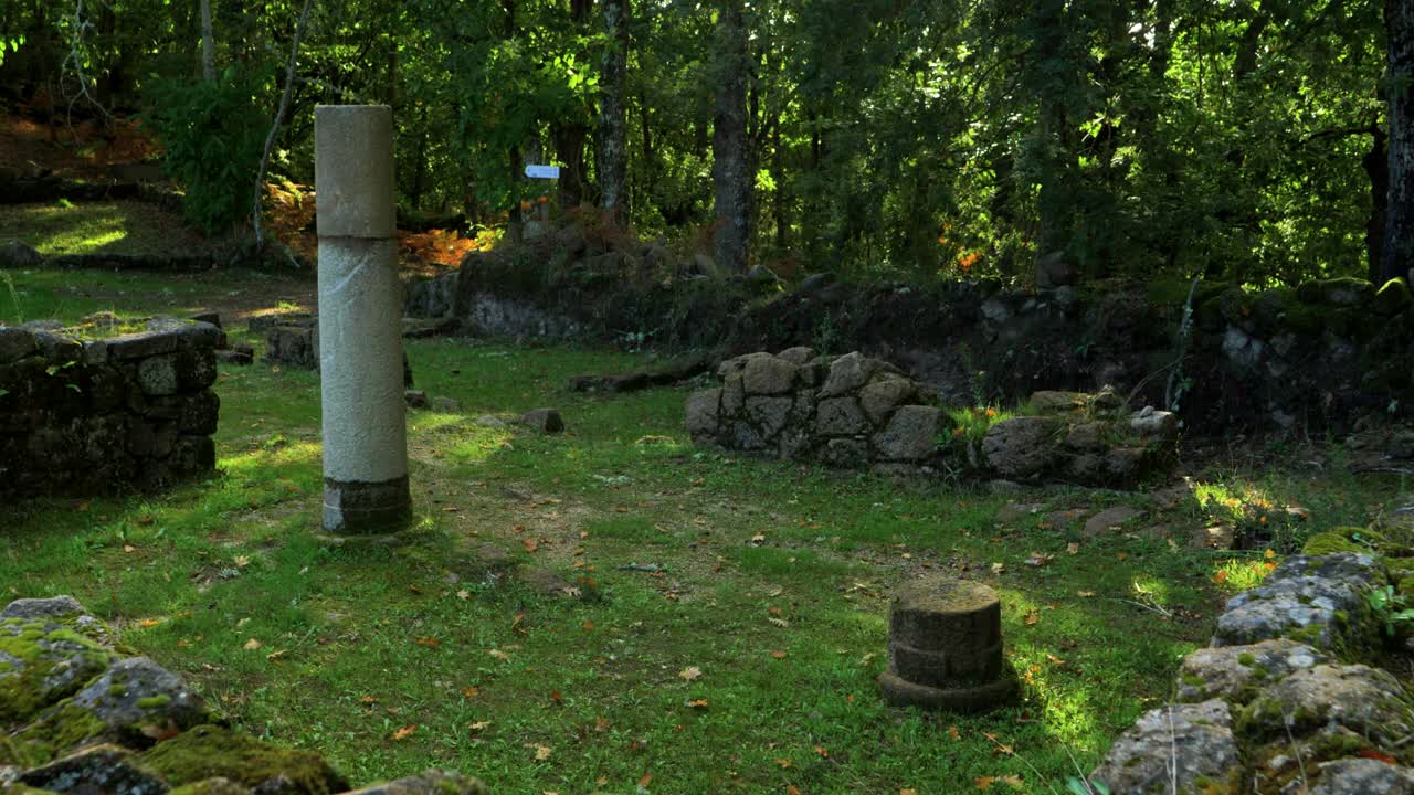 숲 속 의 고대 폐허